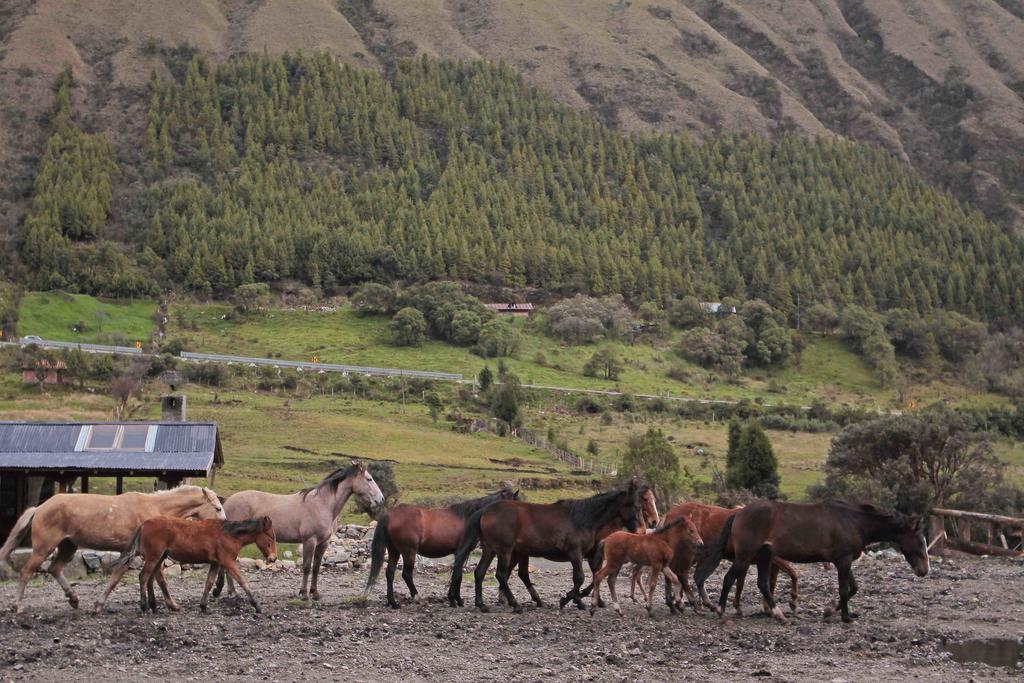 Hacienda Hosteria Dos Chorreras Cuenca Kültér fotó