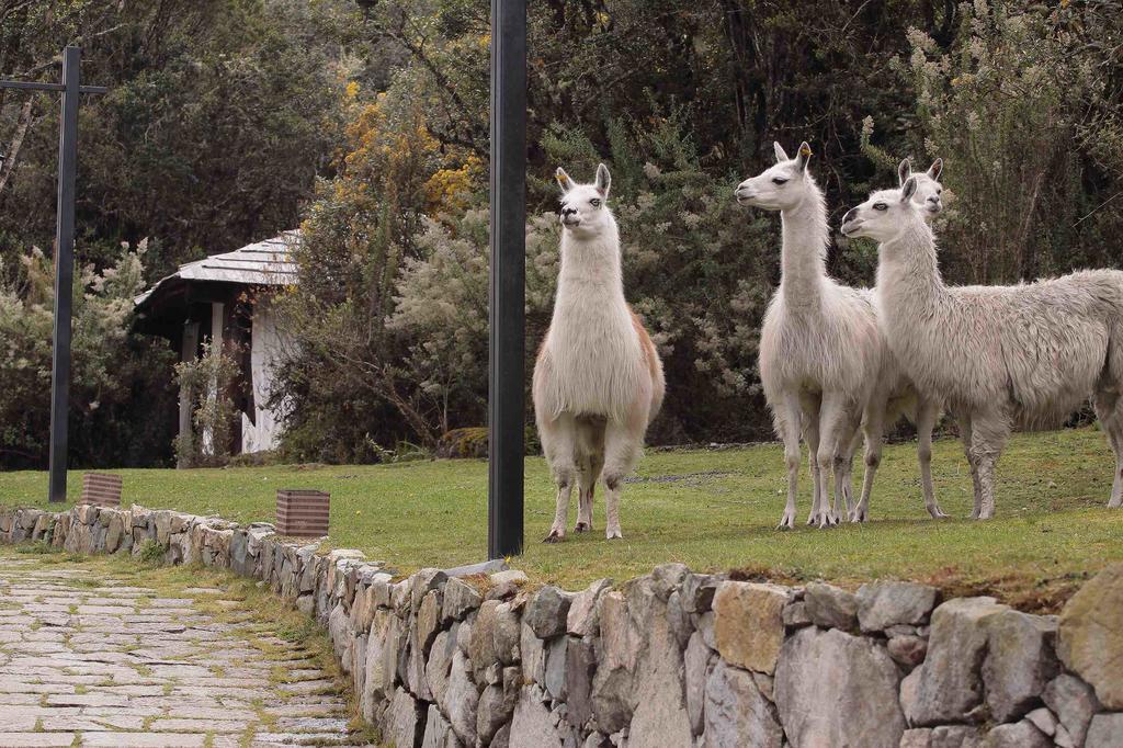 Hacienda Hosteria Dos Chorreras Cuenca Kültér fotó